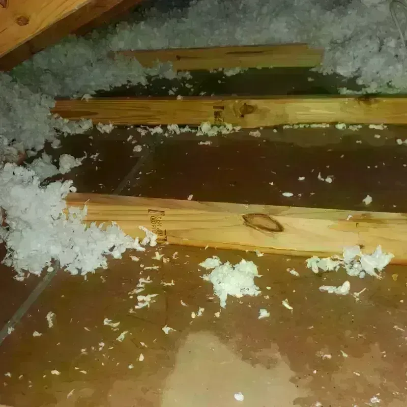 Attic Water Damage in Opportunity, WA