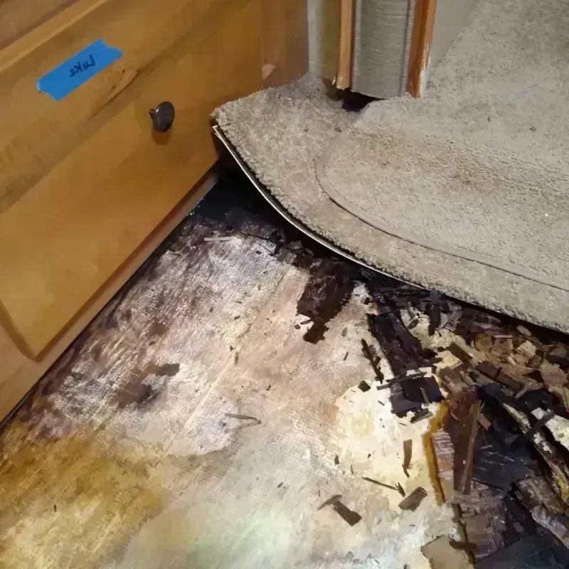 Wood Floor Water Damage in Opportunity, WA